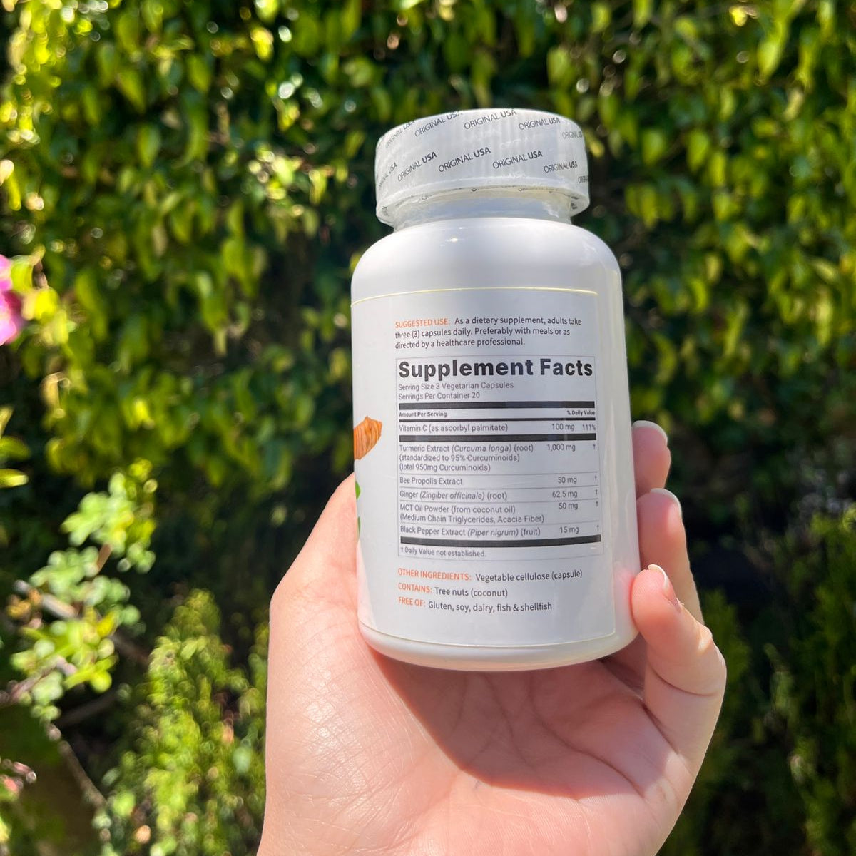 Turmeric Curcumin (Original)